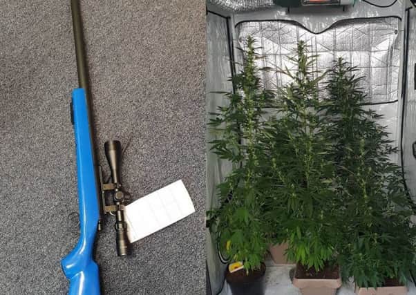The air rifle and cannabis plants were seized by police.