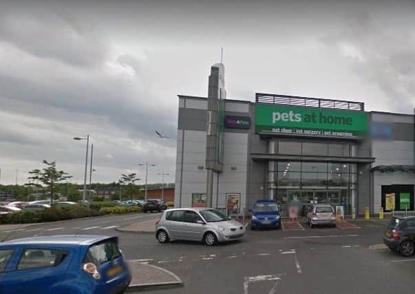 Pets At Home Newtownabbey. Pic by Google.