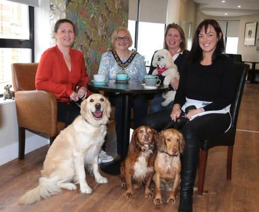 The Mayor of Causeway Coast and Glens Borough Council Councillor Brenda Chivers pictured at Tilly's dog friendly cafe in Portrush with owner Tara Neely, Joe Crossley from  Dog Friendly Tours and Adele Kennedy from the Inn on the Coast as they celebrate the Causeway Coast and Glens growing reputation as a dog friendly holiday destination.PICTURE KEVIN MCAULEY/MCAULEY MULTIMEDIA