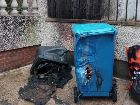 Bins caught fire after firework was thrown into yard