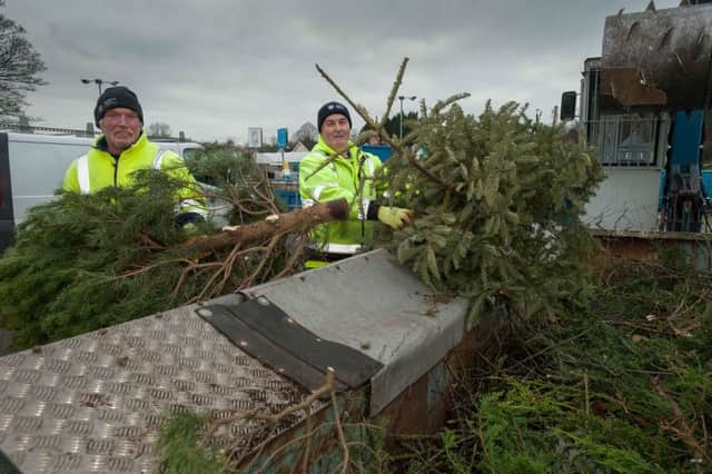 Council staff processing trees at a Household Recycling Centre.