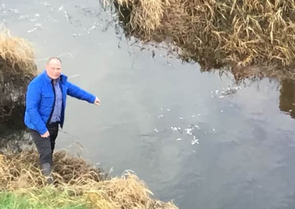 Sinn Fein Cllr Fergal Lennon at the River Closet where there appears to be thousands of dead fish