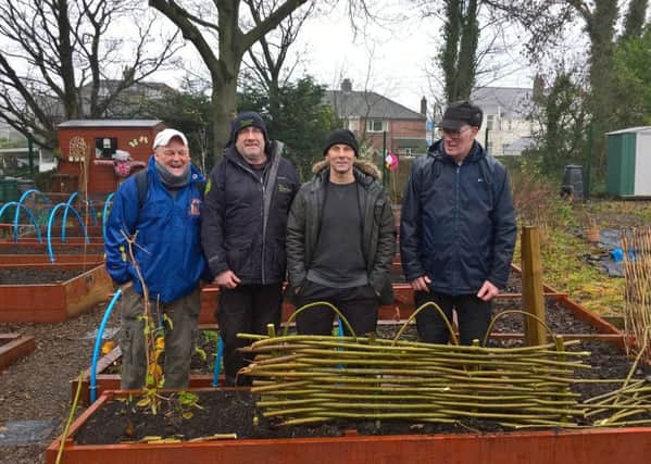 Larne allotment holders coppicing during National Tree Week at Larne allotment gardens.