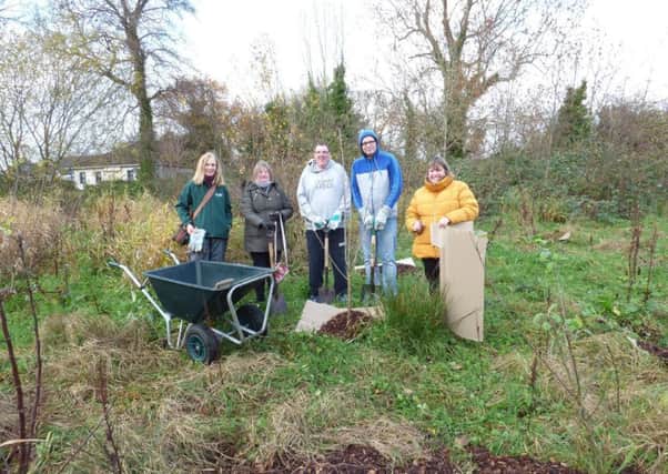Kilcreggan volunteers working at Carrickfergus Mill Ponds during National Tree Week.