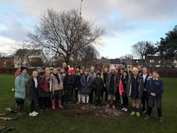Olderfleet Primary School pupils tree planting at Curran Park, Larne.
