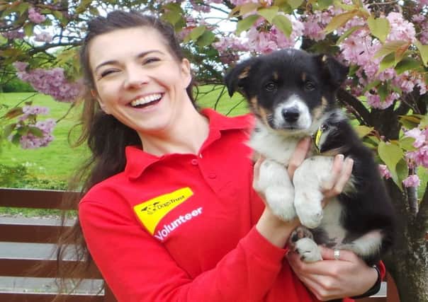 Dogs Trust Ballymena to hold fostering and volunteer recruitment event on Sunday.