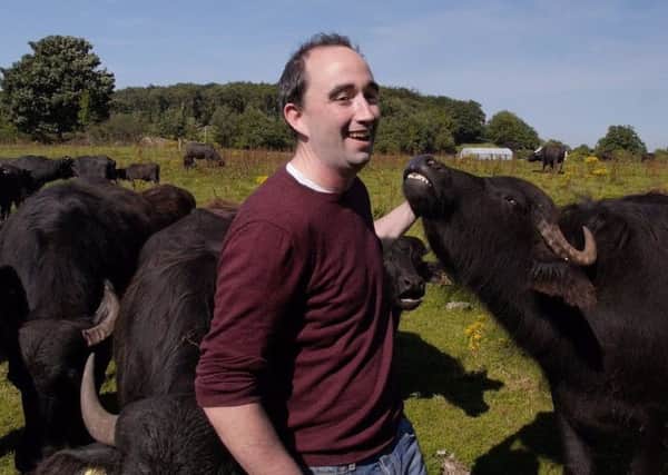 Barry OBrien tends to his herd on Northern Irelands only buffalo farm