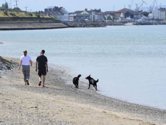 A couple and their dogs pictured at Holywood beach in Northern Ireland enjoying the warm weather in 2018. (Photo: Arthur Allison/Pacemaker)
