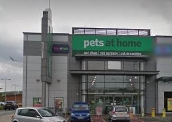 Pets at home, Newtownabbey. Pic by Google.