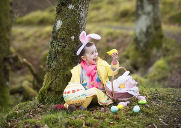 Young Nature Detectives invited to crack the clues of the Monkstown Wood Easter Trail