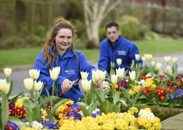 Horticulture students Rosie Hall  and David Kincaid springing into action getting Greenmount Campus, Antrim ready for the Open Day on Wednesday,  April 3,  3 - 8 pm. Picture: Michael Cooper