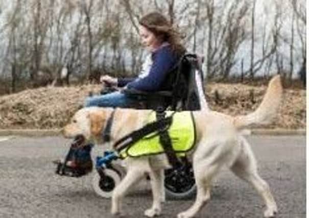 Assistance Dogs NI will be fundraising at the Abbey Centre.