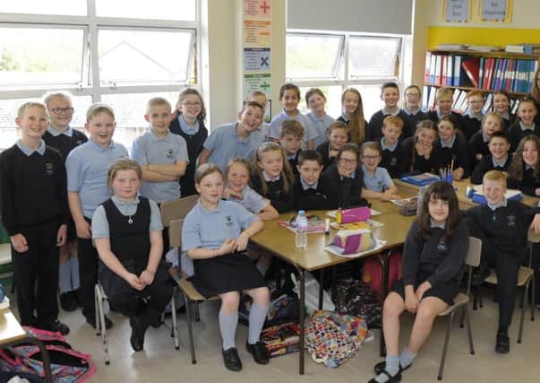 Students at Tandragee Primary School â¬Üpawsâ¬" to learn at educational dog shows