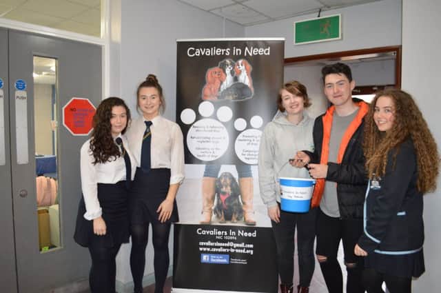Year 13 students Lauren Redmond, Victoria Kernaghan, Charis Stockley Marana McLoughlin and Max Gregg pictured at the Puppy Petting Day