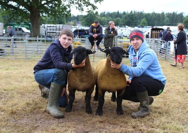 Taking part in the Inter Breed Ewe Lamb Pairs; championship at 
Armagh Show 2019: Bobby and Adam Porter, from Maghera