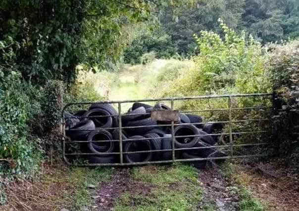 The tyres were dumped in the Shore Road area of Glynn.