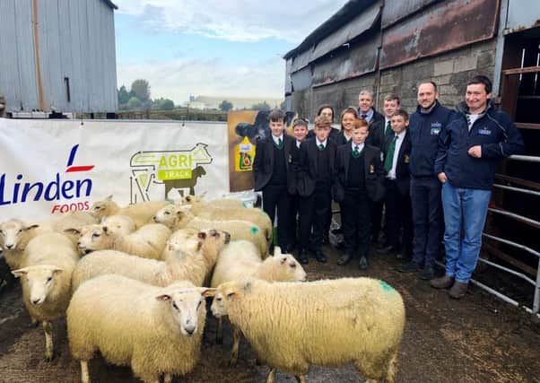 Mr McClean and Holy Trinity College pupils being presented with the Agri Club lambs by staff from Linden Foods