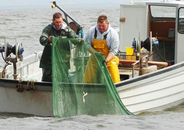 25.08.15.
Picture by David Fitzgerald/DGF Photography

**IMAGE FREE TO USE**

Lough Neagh gold: Northern Irish eels a special resource

The history of the area may be steeped in folklore but Lough Neagh's most compelling story comes from an eel fishery situated on the banks of the Lower Bann River where a centuries old industry farms, processes and exports one of Northern Ireland's few protected resources using traditional, sustainable methods.

The River to Lough Festival is back promising a festival of fun this August bank holiday weekend in Toome with the chance to taste the world renowned Lough Neagh Eel. The Eel fishery opens its doors to the public for the second year on Saturday 29th August.
