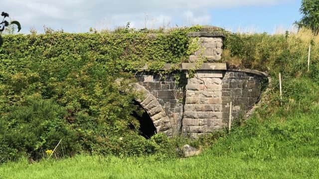 Overgrown but built to last: The railway line at Chapel Bridge was last used 62 years ago