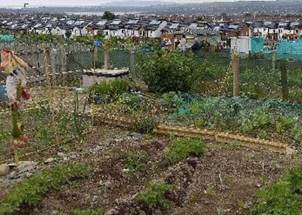 The new allotments will be located in the Derrycoole Way area of Rathcoole.