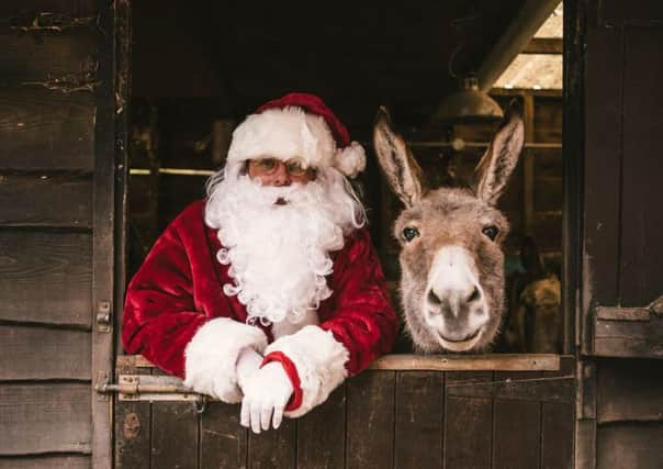 Father Christmas and donkey.