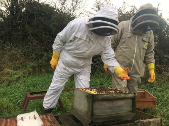 Dromore Beekeepers began by treating all bees kept at the association apiary with Api-bioxal
