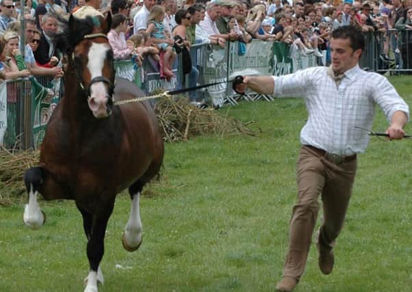 Irish Game Fair at Shanes Castle will be back for 2020