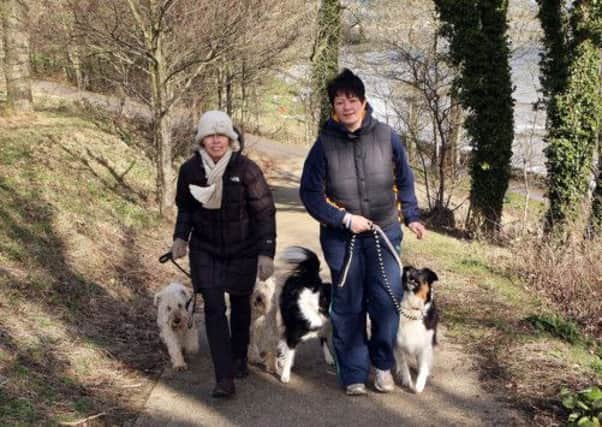 Sandra Snounou and Jillian Davis with their dogs in Hazelbank Park. INNT 11-006-FP