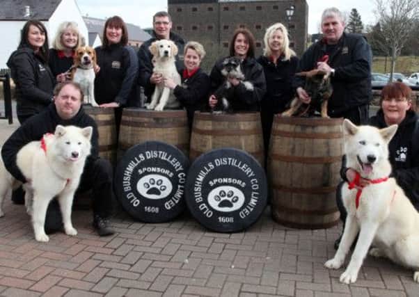 Staff of Bushmill's Distillery and BARK pictured launching that BARK are the Distillery's charity of the year for 2013. CR14-410PL