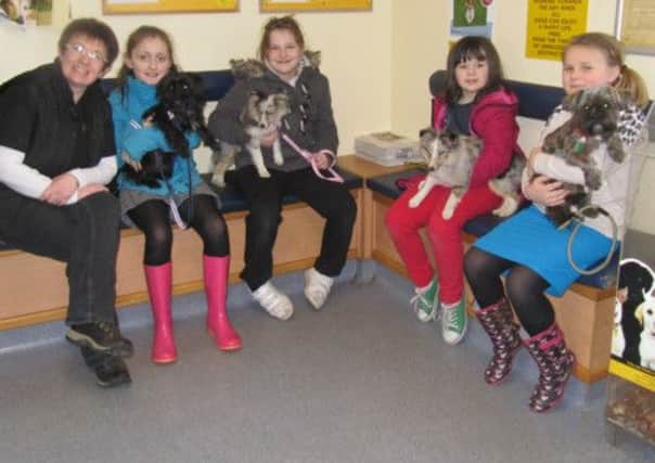 Bea, Kelsea, Eva and Morgan in conjunction with the Hope Centre and Dogs Trust learn basic dog training.