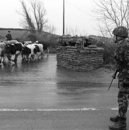 An army training ground in Magilligan is to be let for grazing.