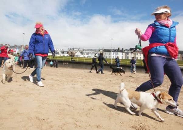 Dog lovers  take to the beach at Weststrand in Portrush on Sunday to protest at Coleraine Borough Council's decision to bann dogs from the beach.MARK JAMIESON.
