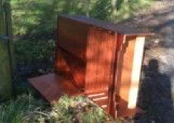 A cabinet dumped at Glenavon Lane.
