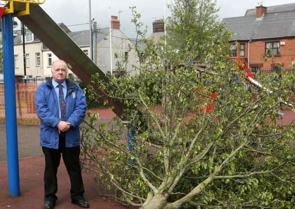 Cllr. Martin Clarke with some of the trees cut down in the King George V memorial park. INBT22-213AC