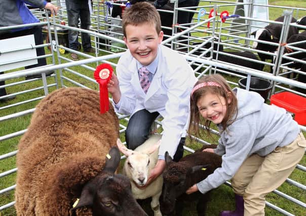 Very proud of their first place prize for Best Cross Breed Ewe with Two Lambs at Lurgan Show were thirteen year old Nathan Hylands and his sister Caylan aged six from Donaghacloney. INLM23-424