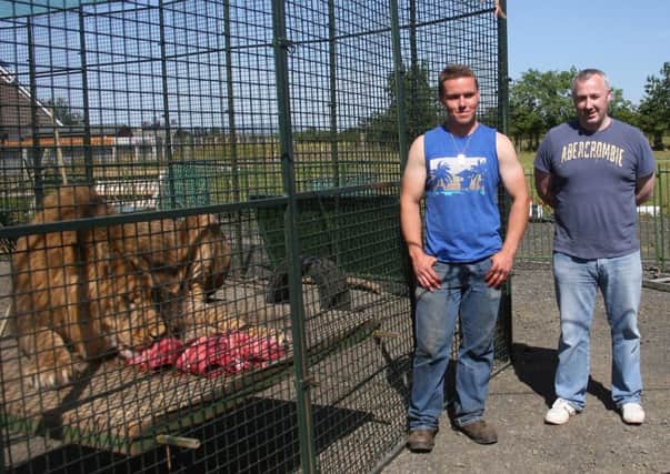Thomas Chipperfield with Rab McComb at the lion and tiger enclosure at Dunaghy.INBM29-13 117L