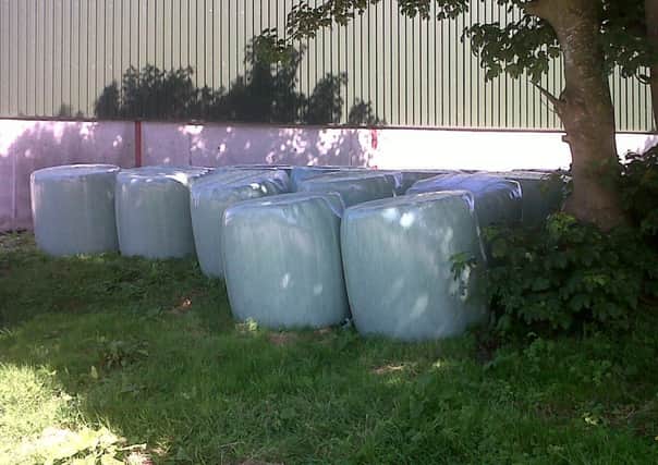 Wrapped round bales of hay in the shade...