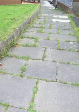 An example of the weeds now rampant in Caw, Nelson Drive and Lincoln Courts.