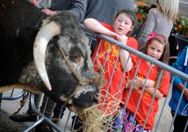 Clara Clements and Georgia O'Kane are startled by one of the farm animals at the Charter Market on Sunday. Photo: Stephen Latimer