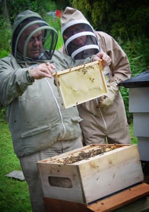 Billy Chambers (left) and Cyril Maguire of the Derry and District Bee Keepers' Association tend one of their local apiaries before transporting the hive to Fermanagh. (INJS3006BEES02)