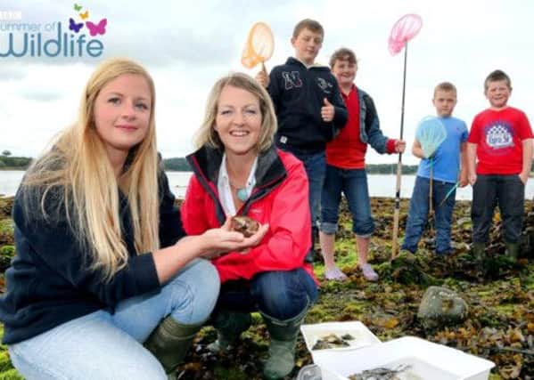Discover wildlife on your doorstep by attending the free event held by BBC NI.