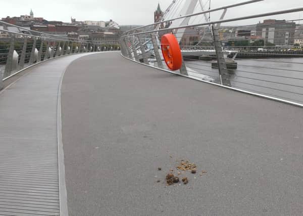 A foul dog owner allowed their animal deface the Londonderry Peace Bridge (September 19). The bridge is supposed to be under 24/7 CCTV observation.