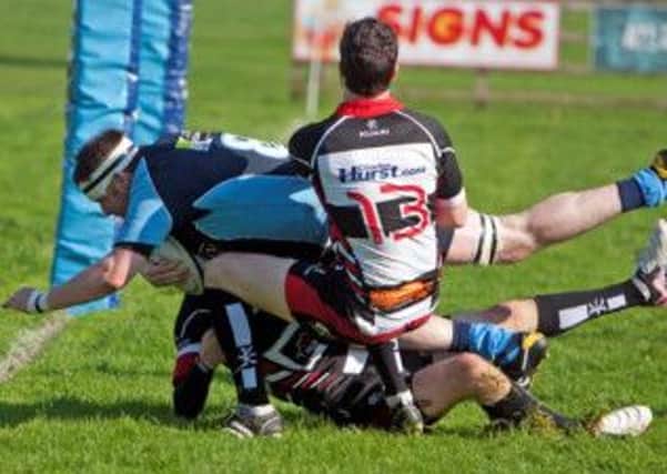 HE DID TRY. Pictured is Ballymoney player, Johnny Hanna going over for his side's opening try against Cooke on Saturday. Picture by Sammy McMullan. INBM40-13 039SC.