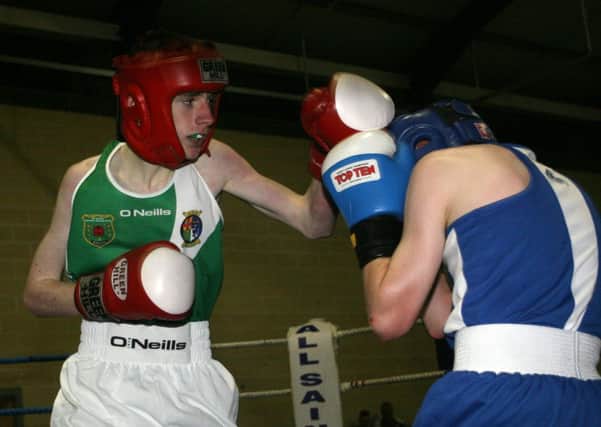 All Saints boxer Aiden Kelly lands a blow on Connor McCourt. INBT41-264AC