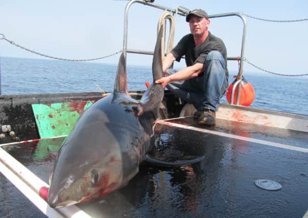Ballymena angler Thomas White with the 350lbs shark he caught during a recent fishing trip.