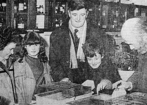 1985 - Mrs. Diana Greer, her daughter Samanda, Mr. Cecil Henderson and his daughter Ruth look at some of the biology department's hamsters with member of staff Mr. Wilbert Garvin, at the Cambridge House Girl's open night. INBT41-753F