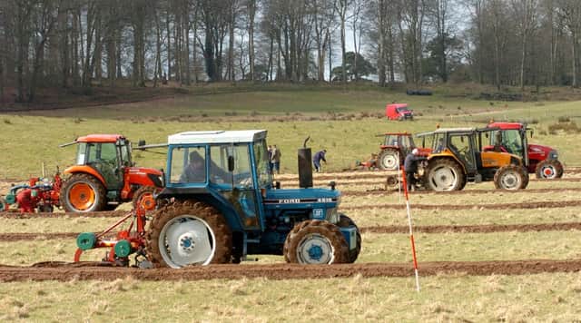 Competing in the winter sunshine during the Fermanagh and Tyrone Ploughing Society annual match at Omagh.Picture West Tyrone Imaging/Kevin McAuley Photography Multimedia