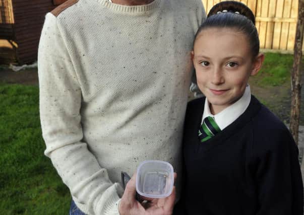 Caitlyn Smith with the suspected false widow spider, held by her dad Stuart. Picture by Geoffrey Cousins