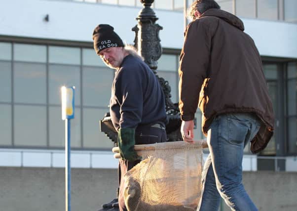 The seal pup is transported to safety by Exploris. INLT 46-625-CON