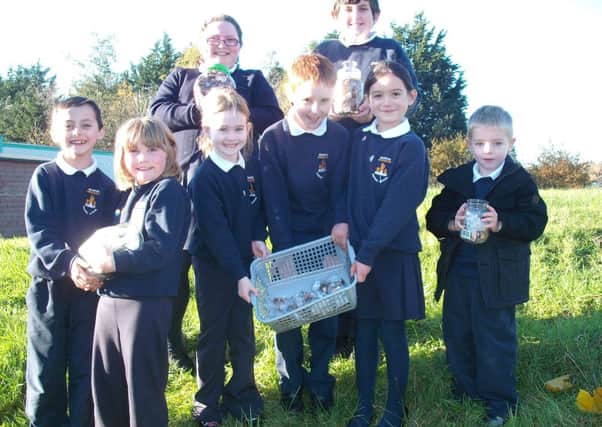 Pupils of Braidside Integrated Primary School are looking forward to getting a brand new school all under one roof in the not to distant future.